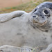 Donna Slater Photo 9