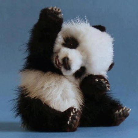 Amanda Shih Photo 19
