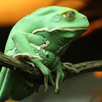 Bj Robertson Photo 20