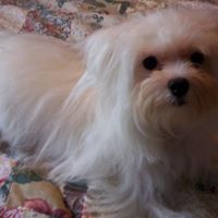 Holly Berry Photo 17