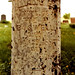 Mary Boswell Photo 9