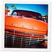 Diana Dodge Photo 19