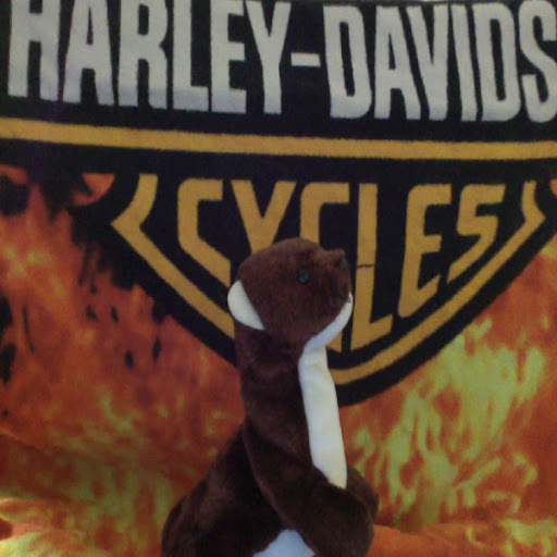 Nancy Davies Photo 15