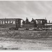 Roy Hopper Photo 11