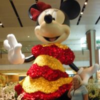 Brenda Rogers Photo 25