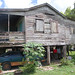Fred Nelson Photo 40