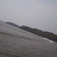Sandy Turk Photo 21
