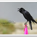 Bill Crow Photo 20