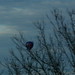 Gene Snyder Photo 19
