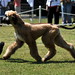 Amy Schultz Photo 14
