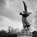 David Robillard Photo 30