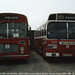 Robert Welsh Photo 14