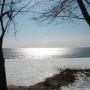 Barbara Moss Photo 27