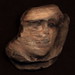 Shelley Clay Photo 10