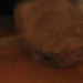 Leroy Head Photo 7