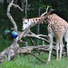 Margaret Peacock Photo 27