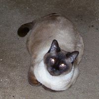 Charlene Bradshaw Photo 7