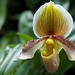 Mark Phipps Photo 26