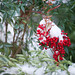 Edwin Berry Photo 12