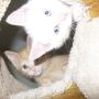 Kathy Hopkins Photo 35