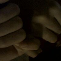 James Breeden Photo 6