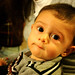 Laura Fanelli Photo 4