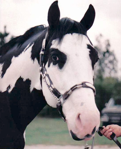 Lisa Burdette Photo 36