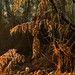 Heather Ruff Photo 12