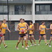Garry Moss Photo 22