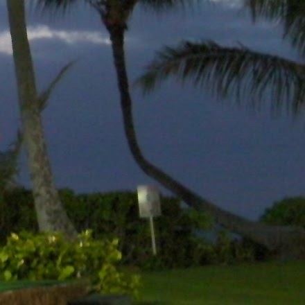 Darrick Fields Photo 3