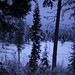 Jerry Ruger Photo 7