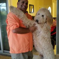 Frank Dimatteo Photo 12