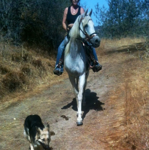 Cheryl Walton Photo 42