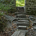Judy Bridges Photo 19