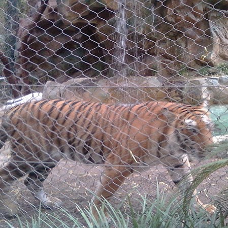 Mike Kerr Photo 8
