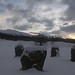 Eric Stone Photo 18