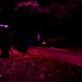 Emmett Reilly Photo 8