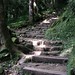 Cathy Lin Photo 16