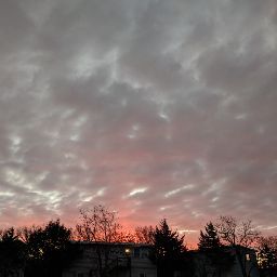 Scott Landers Photo 13