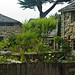 Tor Robinson Photo 9