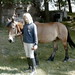 Hank Sharp Photo 10