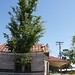 Perry Small Photo 18