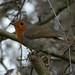Dean Clements Photo 8
