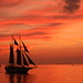 Cheryl Howell Photo 16