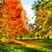 Dan Herbst Photo 10