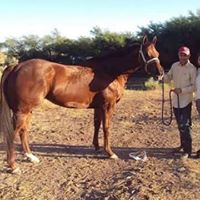 Jose Estudillo Photo 21
