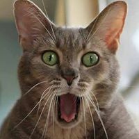 Michael Gagne Photo 33