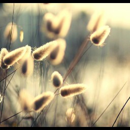 Jules Becker Photo 5