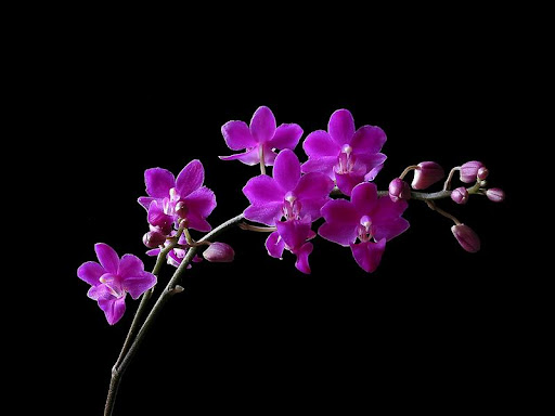 Bich Trinh Photo 21