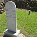 Susan Carver Photo 8
